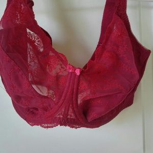 Fantasie 34H (D5) Red Lace Bra FL2182